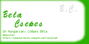 bela csepes business card